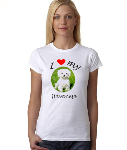 Dogs - I Heart My Havanese on Womans Shirt